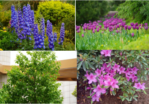 1713752186231.png 1713752186231.png