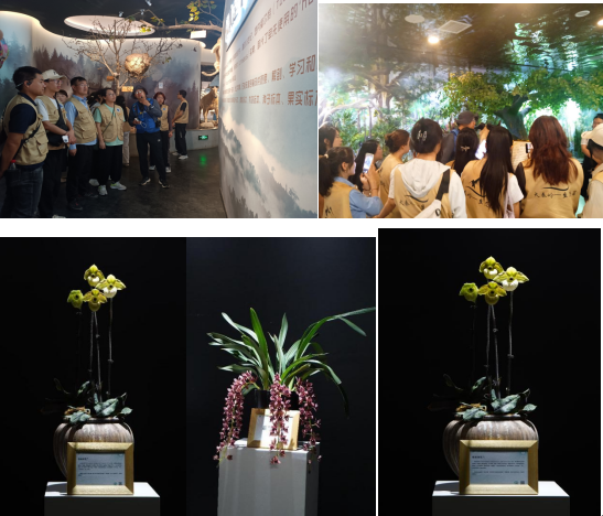 1713752050970.png 1713752050970.png